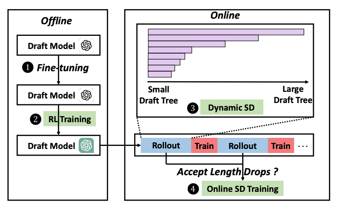 Efficient RL for LLMs with Dynamic and Online Speculative Decoding